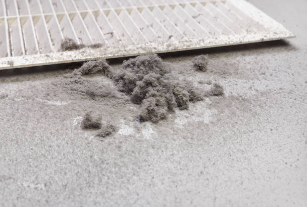 Best Home Air Vent Cleaning  in Calumet City, IL
