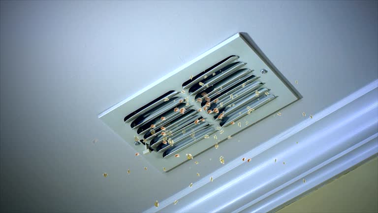 Best Residential Air Duct Cleaning  in Calumet City, IL